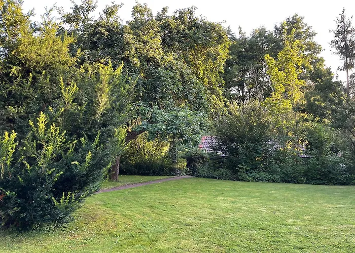 Wohnung Mit Gartenblick
